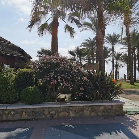 #232 For 4 People In The Center Of & Free Wifi